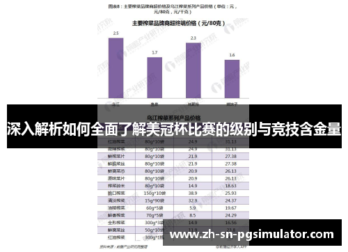 深入解析如何全面了解美冠杯比赛的级别与竞技含金量