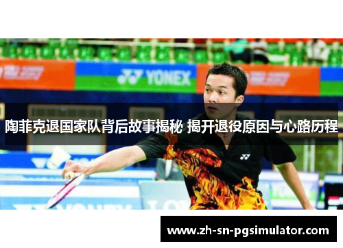 陶菲克退国家队背后故事揭秘 揭开退役原因与心路历程