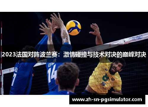 2023法国对阵波兰赛：激情碰撞与技术对决的巅峰对决