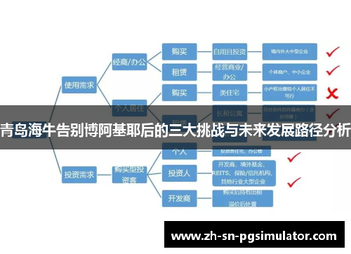 青岛海牛告别博阿基耶后的三大挑战与未来发展路径分析