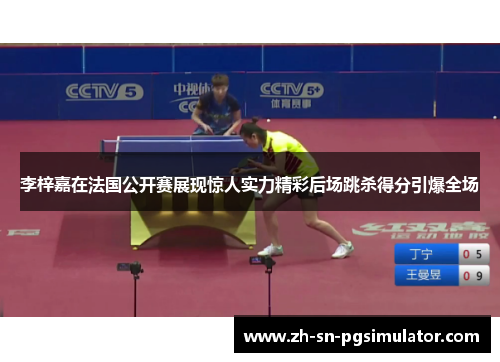 李梓嘉在法国公开赛展现惊人实力精彩后场跳杀得分引爆全场